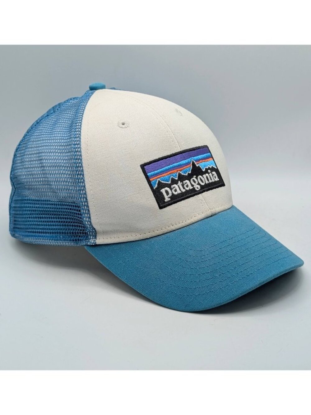 Patagonia P-6 Logo White Blue Mesh Trucker Snapback Hat Mountains Hiking Unisex